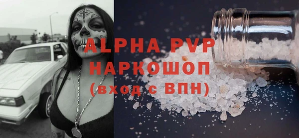 PSILOCYBIN Михайлов
