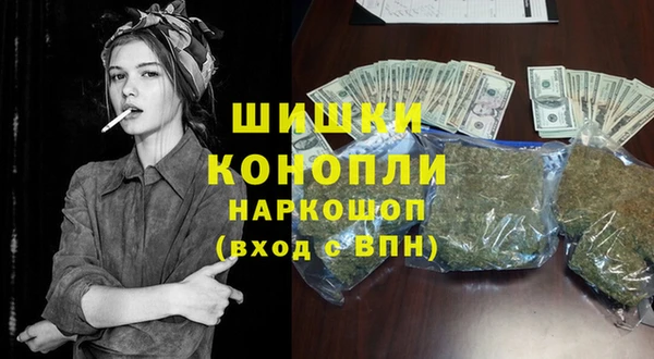 мдпв Кукмор