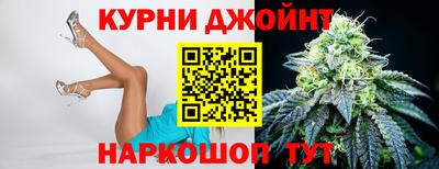 мдпв Кингисепп