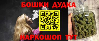 мдпв Кингисепп