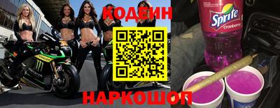мдпв Кингисепп