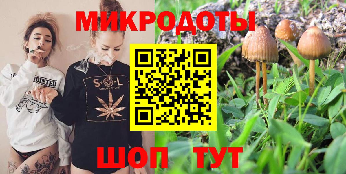 Псилоцибиновые грибы Cubensis Сургут